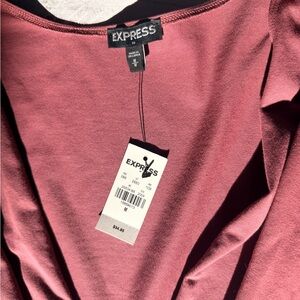 Express Dusty Rose Blouse